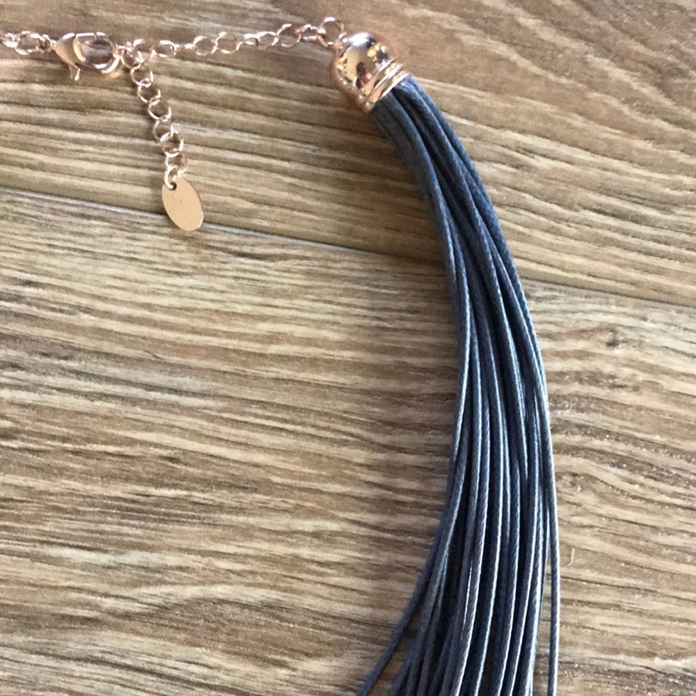 ✨ SOLD Charming Charlie’s Layered Necklace ✨ - Picture 3 of 5